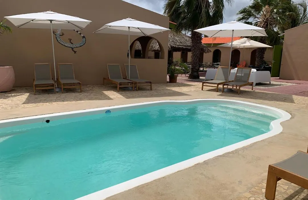 The Lizard Boutique Hotel-1